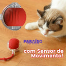 Bola Interativa com Som e Movimento Automático Pet - Compre 1, Leve 6 [Compre 1 e leve 5 Bolinhas Grátis]